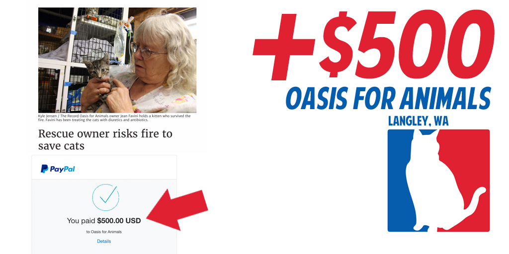 +$500 to this woman, a hero to cats and people.